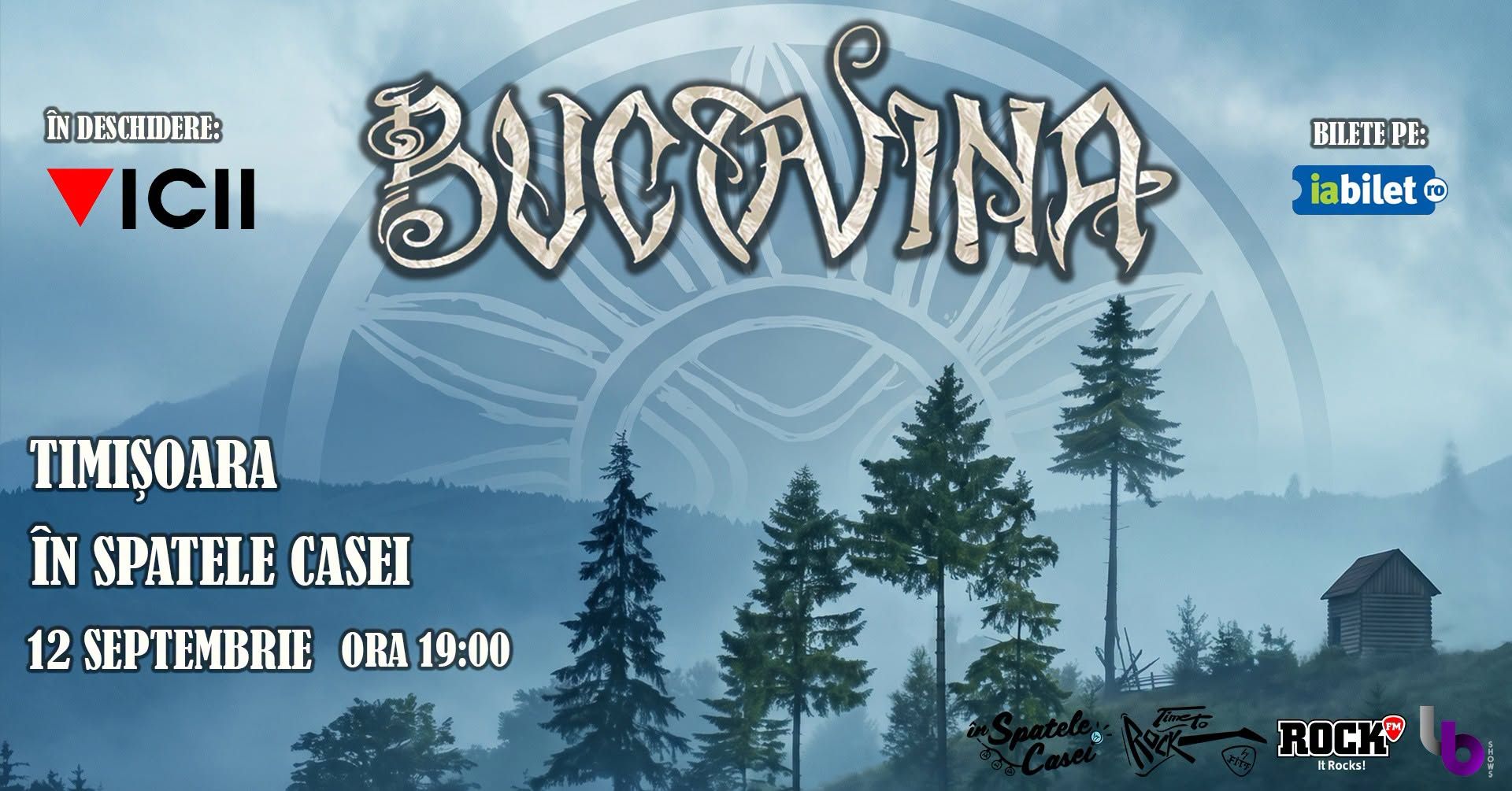 Bucovina și Vicii — Timișoara